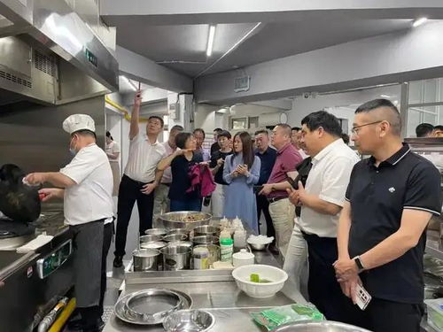 駐馬店餐協走訪四市圓滿收官，食品銷售經驗交流助力產業升級